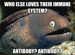 Antibodies play a huge role in the immune system. | Cheesy jokes ...